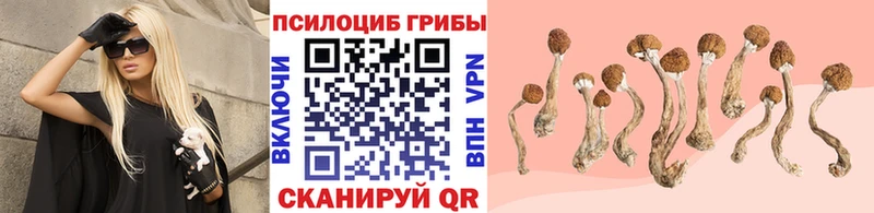 Галлюциногенные грибы прущие грибы  MEGA рабочий сайт  Малоархангельск  где купить наркоту 